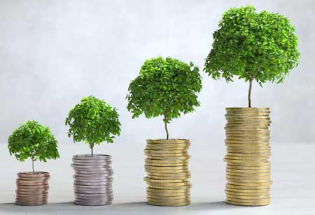 The Future of Wealth: Embracing Alternative Investments